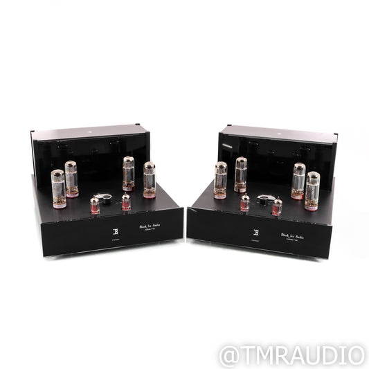 Black Ice Fusion F100 mono blocks with 6550 tubes  (PAIR) (local pick up only)