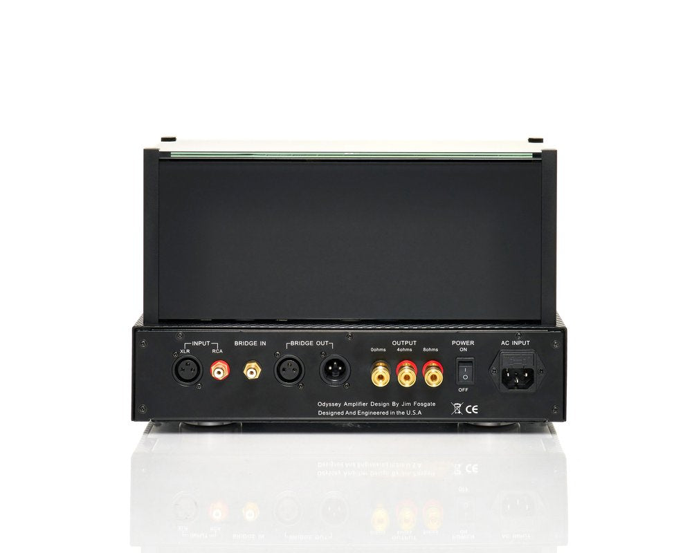 Black Ice Fusion F100 mono blocks with 6550 tubes  (PAIR) (local pick up only)